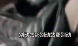 视频爆料男子被抓了,涉嫌违法男子被捕，真相即将揭晓