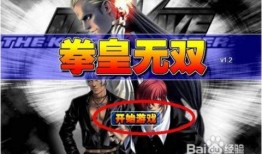 双人 拳皇 在线观看