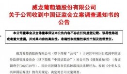 起诉证监会新闻爆料怎么写,揭开监管层内部调查之谜