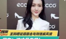 王智慧的爆料是真的吗视频,事实真相大起底