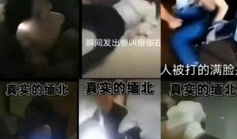 女子爆料被骗视频大全最新,揭秘网络诈骗背后的黑暗真相