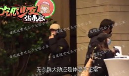 娱乐爆料杨幂魏大勋,甜蜜互动引网友热议