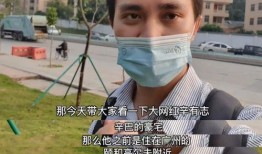 爆料网红辛巴视频