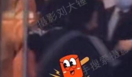 刘大锤爆料最新视频,热点事件背后的惊人真相