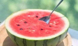 吃瓜全集免费看,揭秘娱乐圈幕后真相，免费畅享独家内容