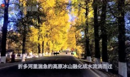 娱乐吃瓜拍摄地,探寻明星足迹的神秘角落