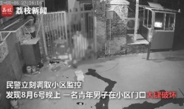 吐槽死门凯爆料视频,揭秘娱乐圈不为人知的幕后真相