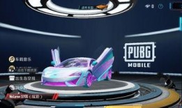 和平精英爆料最新车皮,神秘车皮亮相，独特外观引玩家热议