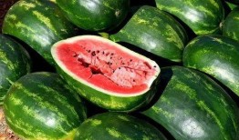 吃瓜网红照片下载安装,轻松捕捉热门瞬间