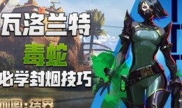 瓦洛兰特套装爆料视频,爆料视频深度解析