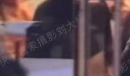 刘大锤爆料最新视频,热点事件背后的惊人真相