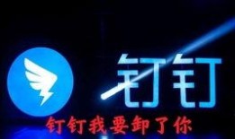 体验服爆料完整视频