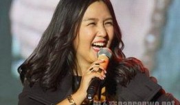 娱乐圈爆料何洁,娱乐圈爆料背后的真相揭秘