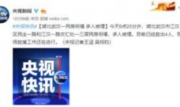 武汉李先生最新爆料新闻,揭秘XX事件背后真相