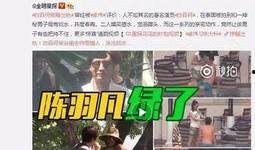 罗大妹爆料多少钱一次视频,揭秘视频制作背后的价格之谜