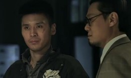 代号全集在线观看,揭秘神秘世界，在线观看解锁未知篇章