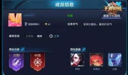 王者爆料被骂视频素材下载,网友热议下载素材引发骂战