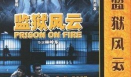 监狱风云1在线观看,铁血重生，复仇之路