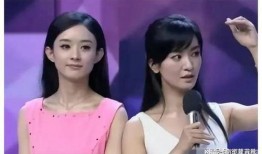 娱乐圈吃瓜爆料小说女主,瓜田里的璀璨星途