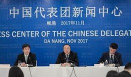 外国爆料中国新闻,外国视角下的中国新闻热点