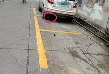 停车场最新爆料,智慧停车时代来临，便捷出行新体验