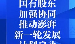 澎湃新闻爆料库,深度挖掘新闻背后的故事