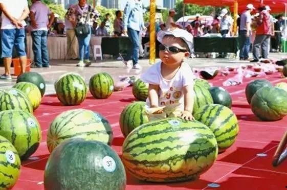 每日大赛 吃瓜入口,吃瓜入口,揭秘娱乐圈幕后风云