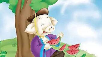 娱乐吃瓜酱的背景故事