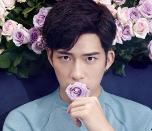 娱乐圈吃瓜明星代号田字格,揭秘明星背后的神秘面纱