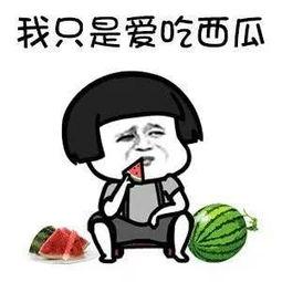 娱乐吃瓜的酱,吃瓜群众必看的幕后故事